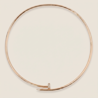 Juste Un Clou Torque Necklace